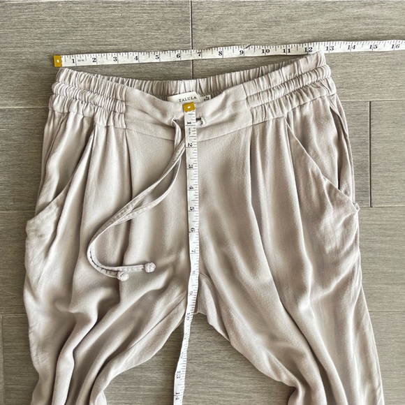 ARITZIA Talula Los Feliz Pull On Drawstring Joggers Pants XS Pleated Taupe Gray - Picture 13 of 14